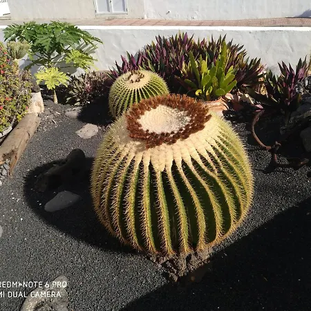 Caracola Azul Lägenhet *