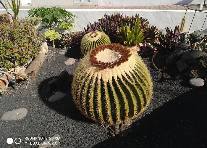 Caracola Azul Daire *