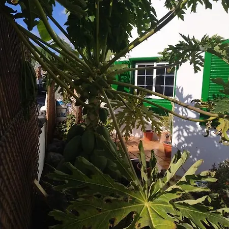 Caracola Azul Apartment Arrieta (Lanzarote)