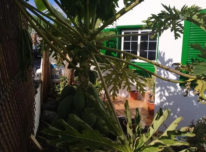 Caracola Azul Apartmán Arrieta (Lanzarote)